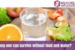 Dog Survival: How Long Can a Dog Survive Without Food &amp; Water? | World’s Most Delicious Foods: Must-Try Dishes from Every Country