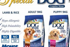 Best Special Dog Food: Enhance Your Dog's Health | World’s Most Delicious Foods: Must-Try Dishes from Every Country