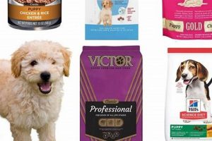 The Top Puppy Food for Mini Goldendoodles: A Guide + Reviews World’s Most Delicious Foods: Must-Try Dishes from Every Country The Top Puppy Food for Mini Goldendoodles: A Guide + Reviews | World’s Most Delicious Foods: Must-Try Dishes from Every Country
