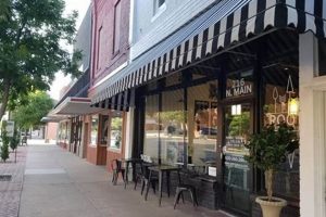 A Taste of Garden City, Kansas: Local Food Scene Guide | World’s Most Delicious Foods: Must-Try Dishes from Every Country