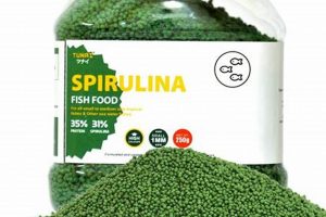 Best Fish Food with Spirulina: Health & Color! | World’s Most Delicious Foods: Must-Try Dishes from Every Country