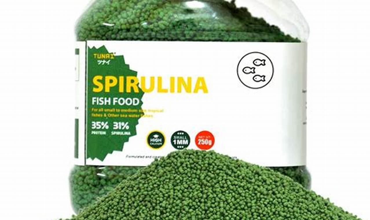 Best Fish Food with Spirulina: Health & Color! | World’s Most Delicious Foods: Must-Try Dishes from Every Country