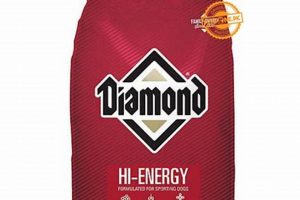 Diamond High Energy Dog Food: Reviews & Alternatives World’s Most Delicious Foods: Must-Try Dishes from Every Country Diamond High Energy Dog Food: Reviews & Alternatives | World’s Most Delicious Foods: Must-Try Dishes from Every Country