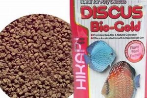 Best Discus Fish Food Guide: Nutrition &amp; More! | World’s Most Delicious Foods: Must-Try Dishes from Every Country