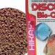 Best Discus Fish Food Guide: Nutrition &amp; More! | World’s Most Delicious Foods: Must-Try Dishes from Every Country