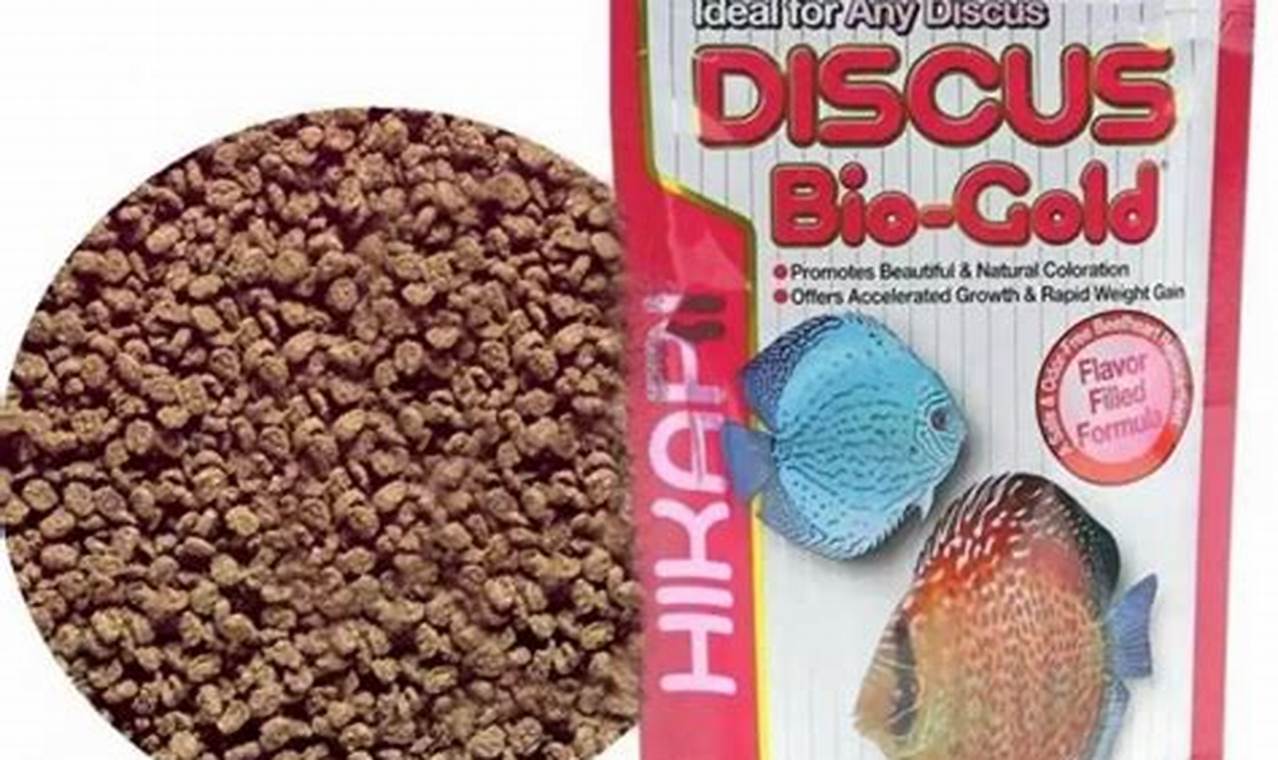 Best Discus Fish Food Guide: Nutrition & More! World’s Most Delicious Foods: Must-Try Dishes from Every Country Best Discus Fish Food Guide: Nutrition & More! | World’s Most Delicious Foods: Must-Try Dishes from Every Country