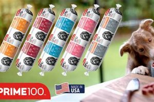 Best Prime 100 Dog Food: Reviews &amp; Recipes | World’s Most Delicious Foods: Must-Try Dishes from Every Country