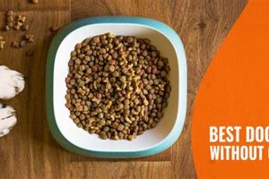 Best Dog Food without Poultry: Options & Guide | World’s Most Delicious Foods: Must-Try Dishes from Every Country