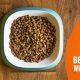 Best Dog Food without Poultry: Options & Guide | World’s Most Delicious Foods: Must-Try Dishes from Every Country