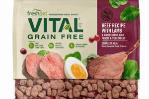 Best Fresh Lamb Dog Food for Health &amp; Wellness | World’s Most Delicious Foods: Must-Try Dishes from Every Country