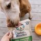 Best Under the Weather Dog Food: Care &amp; Recovery | World’s Most Delicious Foods: Must-Try Dishes from Every Country