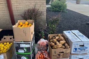 Northside Food Pantry Pittsburgh: Resources &amp; Support | World’s Most Delicious Foods: Must-Try Dishes from Every Country