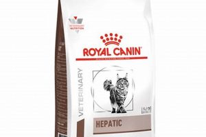 Best Hepatic Cat Food: Liver Support Diet Guide World’s Most Delicious Foods: Must-Try Dishes from Every Country Best Hepatic Cat Food: Liver Support Diet Guide | World’s Most Delicious Foods: Must-Try Dishes from Every Country
