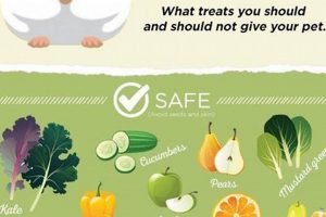 Can Guinea Pigs Eat Bunny Food? Risks & Alternatives! | World’s Most Delicious Foods: Must-Try Dishes from Every Country