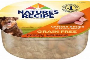 Best Grain Free Wet Dog Food Brands - Reviews & More World’s Most Delicious Foods: Must-Try Dishes from Every Country Best Grain Free Wet Dog Food Brands - Reviews & More | World’s Most Delicious Foods: Must-Try Dishes from Every Country