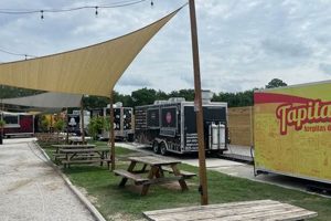 Best Katy Food Trucks: Find Your Next Meal! | World’s Most Delicious Foods: Must-Try Dishes from Every Country