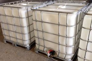 Buy Food Grade IBC Near Me: Best Local Prices! | World’s Most Delicious Foods: Must-Try Dishes from Every Country