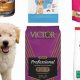 Guide: Best Food for Goldendoodles Puppy (Growth!) | World’s Most Delicious Foods: Must-Try Dishes from Every Country