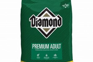 Is Diamond Premium Dog Food the Right Choice for Your Dog? | World’s Most Delicious Foods: Must-Try Dishes from Every Country