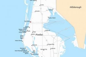 Your Local Food Banks in Pinellas County, FL | Find Help | World’s Most Delicious Foods: Must-Try Dishes from Every Country