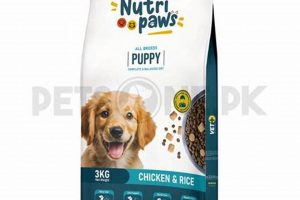 Best Nutri Dog Food: Your Dog's Health Starts Here! | World’s Most Delicious Foods: Must-Try Dishes from Every Country