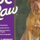 OC Raw Dog Food Recall: Keep Your Dog Safe! | World’s Most Delicious Foods: Must-Try Dishes from Every Country