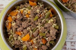 Homemade Hamburger and Rice Dog Food: Safe & Easy Recipes | World’s Most Delicious Foods: Must-Try Dishes from Every Country