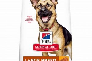Best High Quality Dog Food for German Shepherds: Guide & Brands | World’s Most Delicious Foods: Must-Try Dishes from Every Country
