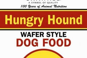 Best Hungry Hound Dog Food: Reviews &amp; More for Your Pup! | World’s Most Delicious Foods: Must-Try Dishes from Every Country
