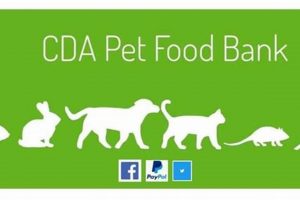 Your Food Bank CDA Guide: Services + How to Help | World’s Most Delicious Foods: Must-Try Dishes from Every Country