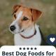 Best Dog Food for Jack Russells: Expert Guide | World’s Most Delicious Foods: Must-Try Dishes from Every Country