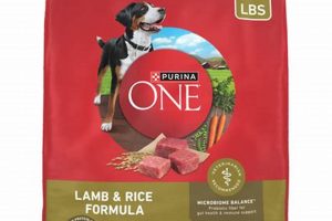 Top-Rated: Best Lamb and Rice Dog Food Guide & Reviews World’s Most Delicious Foods: Must-Try Dishes from Every Country Top-Rated: Best Lamb and Rice Dog Food Guide & Reviews | World’s Most Delicious Foods: Must-Try Dishes from Every Country