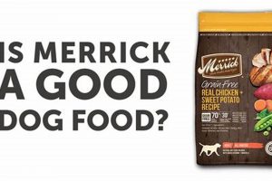 Is Merrick Dog Food Bad? Problems & Alternatives | World’s Most Delicious Foods: Must-Try Dishes from Every Country