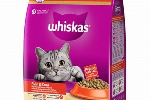 Best Skin & Coat Cat Food: For a Healthy, Shiny Cat World’s Most Delicious Foods: Must-Try Dishes from Every Country Best Skin & Coat Cat Food: For a Healthy, Shiny Cat | World’s Most Delicious Foods: Must-Try Dishes from Every Country
