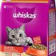 Best Skin &amp; Coat Cat Food: For a Healthy, Shiny Cat | World’s Most Delicious Foods: Must-Try Dishes from Every Country