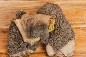 Why Green Tripe Dog Food is Awesome for Dogs | World’s Most Delicious Foods: Must-Try Dishes from Every Country