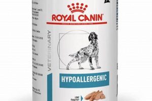 Best Hypoallergenic Canned Dog Food: Diet & Health Tips World’s Most Delicious Foods: Must-Try Dishes from Every Country Best Hypoallergenic Canned Dog Food: Diet & Health Tips | World’s Most Delicious Foods: Must-Try Dishes from Every Country