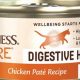Best Wellness Core Digestive Health Cat Food: Guide & Review | World’s Most Delicious Foods: Must-Try Dishes from Every Country
