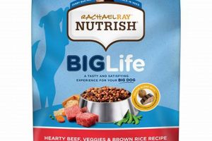 Best Big Life Dog Food: Healthy Meals for a Big Life | World’s Most Delicious Foods: Must-Try Dishes from Every Country