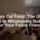 Sundays Cat Food: Is It Worth It? Review & Guide | World’s Most Delicious Foods: Must-Try Dishes from Every Country