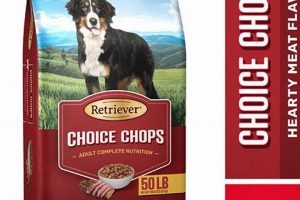 Best Retriever Dog Food: Fuel Your Active Pup! World’s Most Delicious Foods: Must-Try Dishes from Every Country Best Retriever Dog Food: Fuel Your Active Pup! | World’s Most Delicious Foods: Must-Try Dishes from Every Country