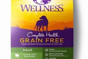 The Best Grain Free Lamb Dog Food for Sensitive Dogs + Reviews | World’s Most Delicious Foods: Must-Try Dishes from Every Country