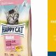 Best Happy Cat Pet Food: Fueling Feline Joy! | World’s Most Delicious Foods: Must-Try Dishes from Every Country