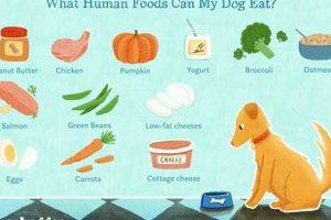 Is It Safe? Can Dogs Eat Bunny Food? Risks &amp; Info | World’s Most Delicious Foods: Must-Try Dishes from Every Country