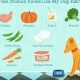 Is It Safe? Can Dogs Eat Bunny Food? Risks &amp; Info | World’s Most Delicious Foods: Must-Try Dishes from Every Country