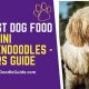 Guide: Best Food for Mini Goldendoodle Puppies & Adults | World’s Most Delicious Foods: Must-Try Dishes from Every Country