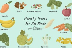 Dog Safety: Is Bird Food Bad for Dogs? Risks &amp; Tips! | World’s Most Delicious Foods: Must-Try Dishes from Every Country
