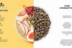 The Best Liver-Friendly Dog Food: Expert Choices & Tips | World’s Most Delicious Foods: Must-Try Dishes from Every Country