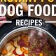 Easy & Healthy Dog Food in Instant Pot Recipes (Guide) | World’s Most Delicious Foods: Must-Try Dishes from Every Country
