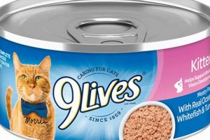 Best Nine Lives Canned Cat Food: Reviews & More! | World’s Most Delicious Foods: Must-Try Dishes from Every Country